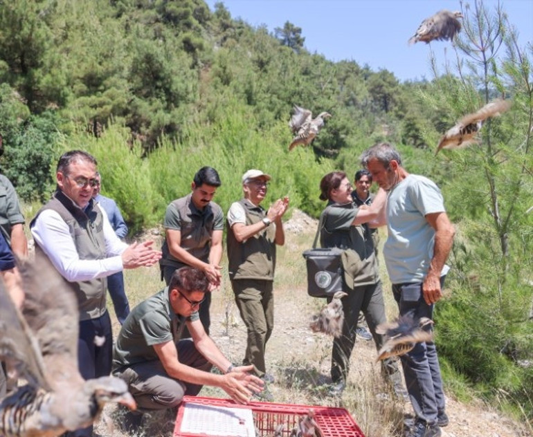Can alan kabusla mücadele ediyorlar 800 tanesi doğaya salındı