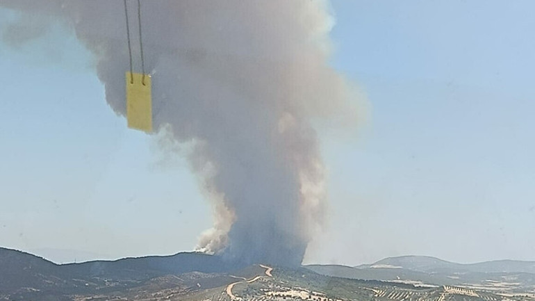 İzmir, Antalya ve Muğlada orman yangını: Havadan ve karadan müdahale ediliyor