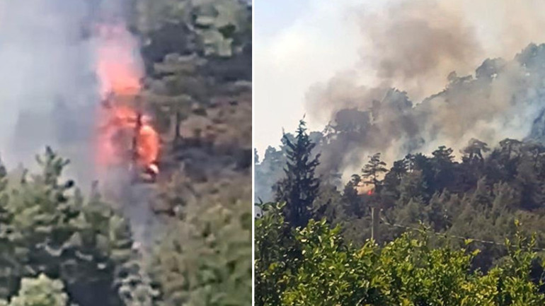 İzmir, Antalya ve Muğlada orman yangını: Havadan ve karadan müdahale ediliyor