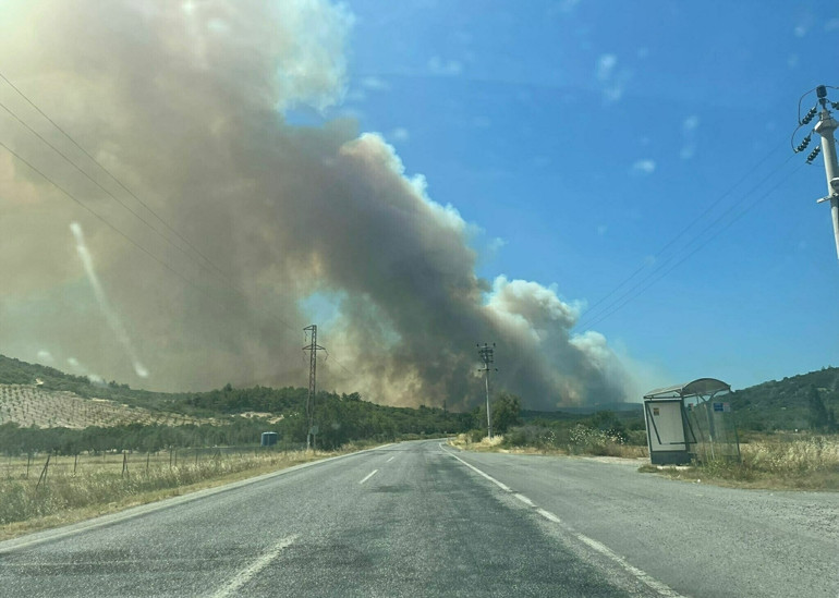 İzmir, Antalya ve Muğlada orman yangını: Havadan ve karadan müdahale ediliyor