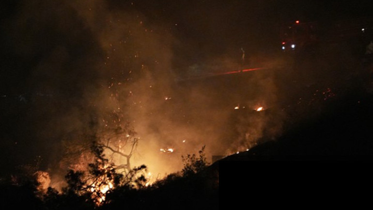İzmir, Antalya ve Muğlada orman yangını: Havadan ve karadan müdahale ediliyor