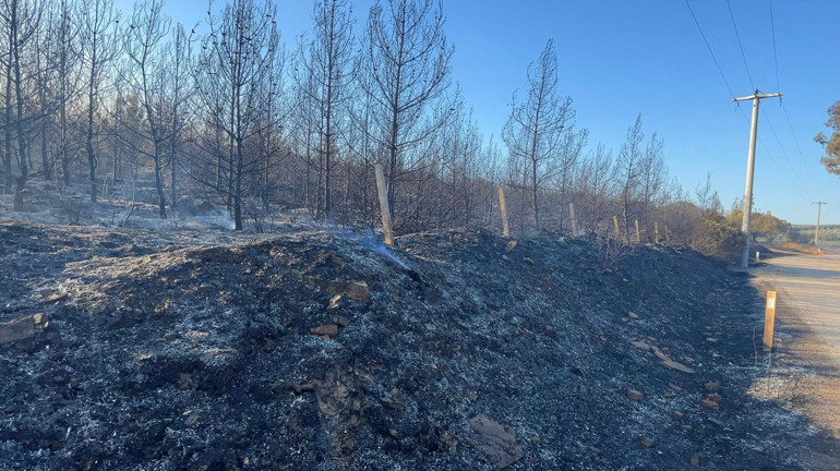 İzmirdeki orman yangını 2nci gününde kontrol altına alındı