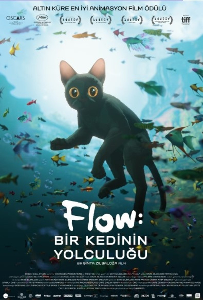 Festival gibi bir hafta