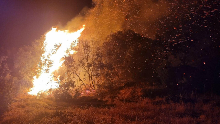 Son dakika haberi: Orman yangınlarına havadan ve karadan müdahale ediliyor | Dehşet anları kamerada: Geri çık ağabey yanacağız