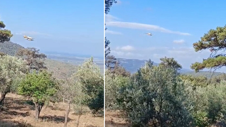 Son dakika orman yangınları: Ciğerlerimiz yanıyor... Orman yangınlarında son durum... Bakan Yumaklıdan açıklama