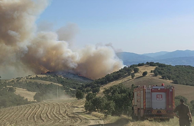 Son dakika... Balıkesirde orman yangını Manisa ve Uşaktaki yangınlar söndürüldü