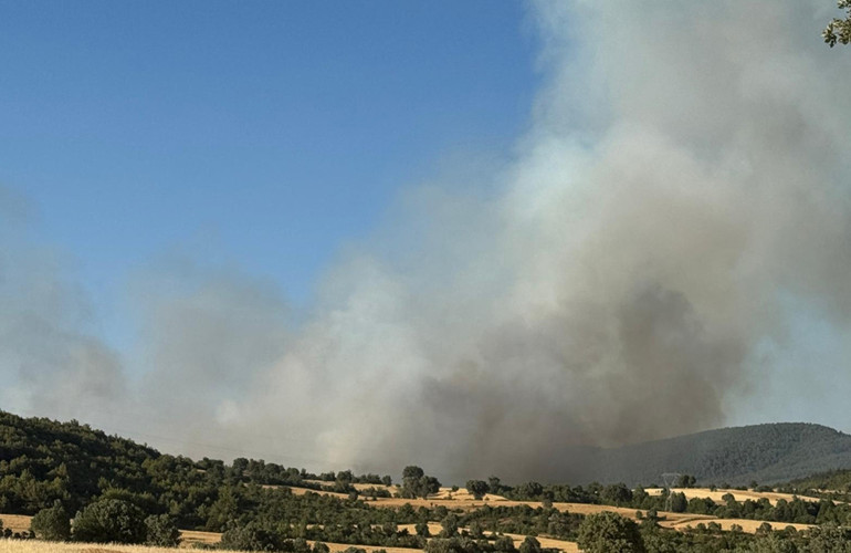 Son dakika... Balıkesirde orman yangını Manisa ve Uşaktaki yangınlar söndürüldü