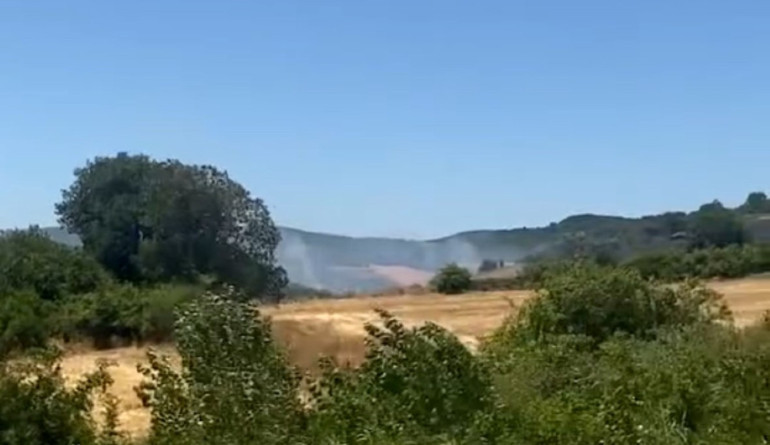 Balıkesir ile Edirnede orman yangınları söndürüldü İzmirdeki yangına havadan ve kardan müdahale sürüyor