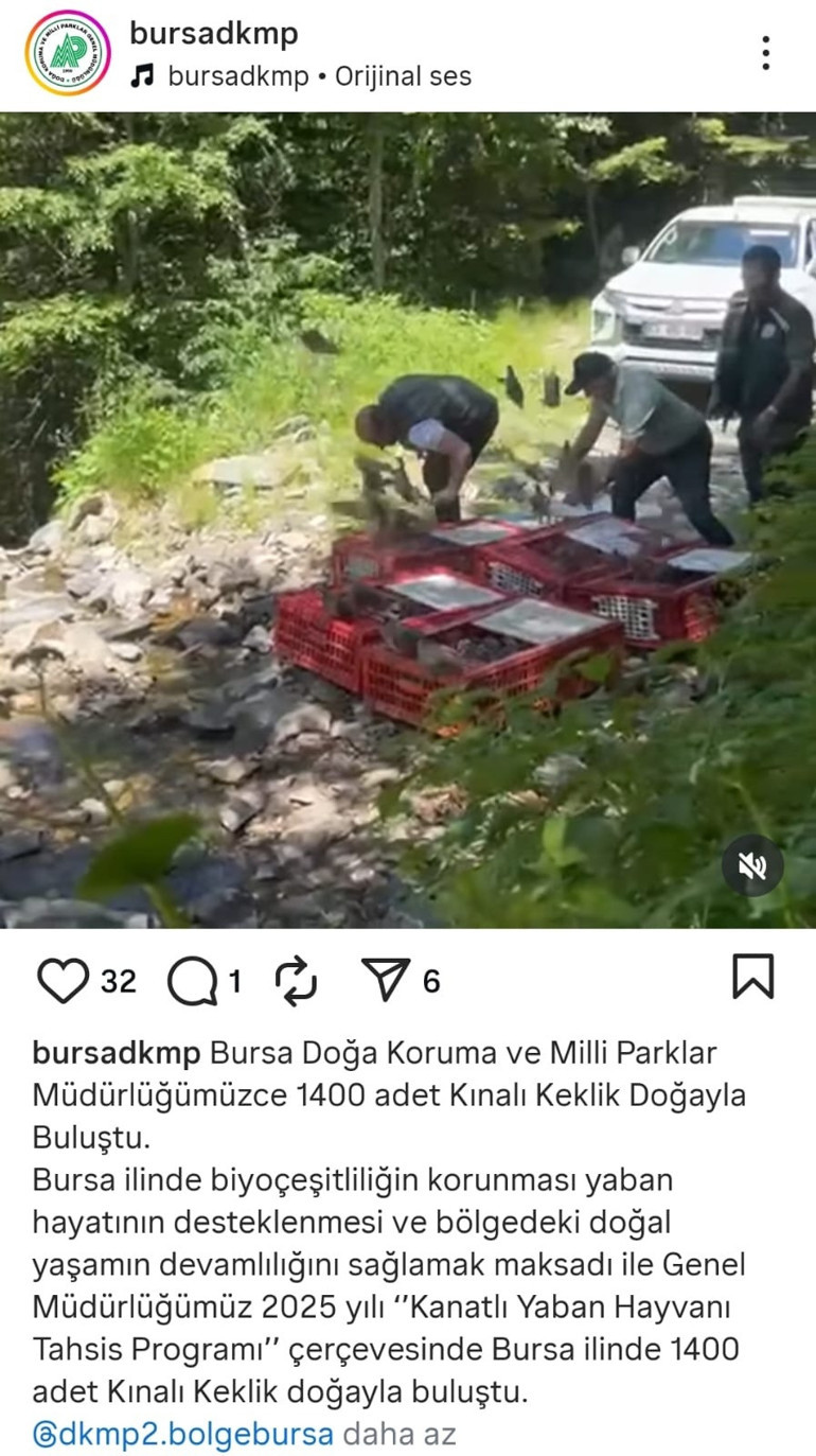 Kanatlı timin mücadelesi sürüyor 1.400 tanesi daha doğaya salındı...