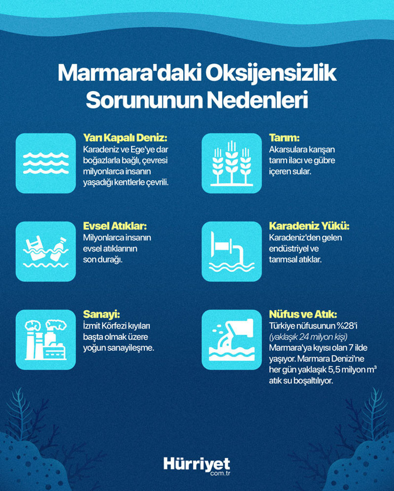 Marmara Denizi’nde oksijen bitiyor Köpek balıkları ve vatozlar kıyılara gelmeye başladı… Şimdi ne olacak