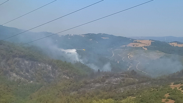 Orman yangınlarında son durum | Şarköy ve Geliboluda yangınlar kontrol altında Balıkesirde müdahale sürüyor