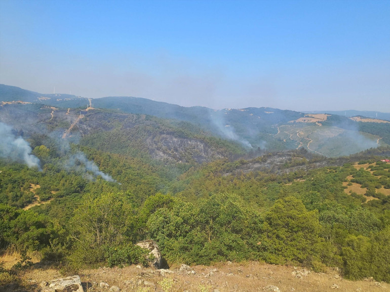 Orman yangınlarında son durum | Şarköy ve Geliboluda yangınlar kontrol altında Balıkesirde müdahale sürüyor
