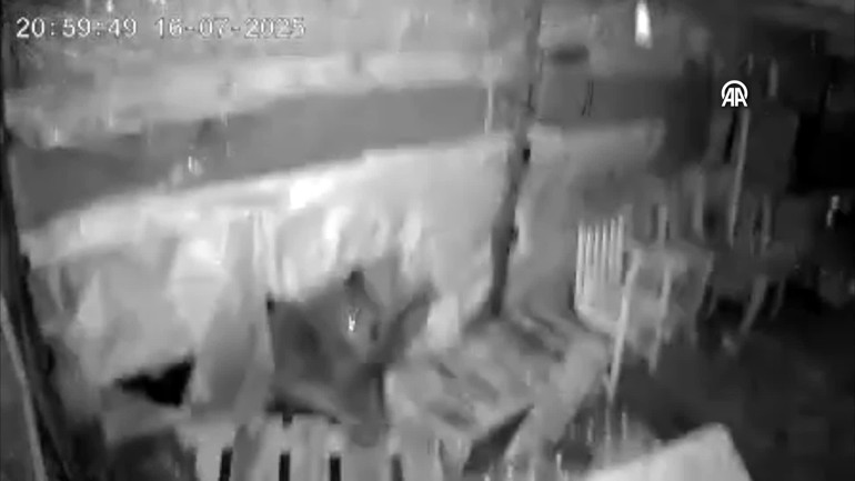 Camları kırdı, işçilerin kaldığı barınağa girdi | Şaşkına çeviren olay kamerada