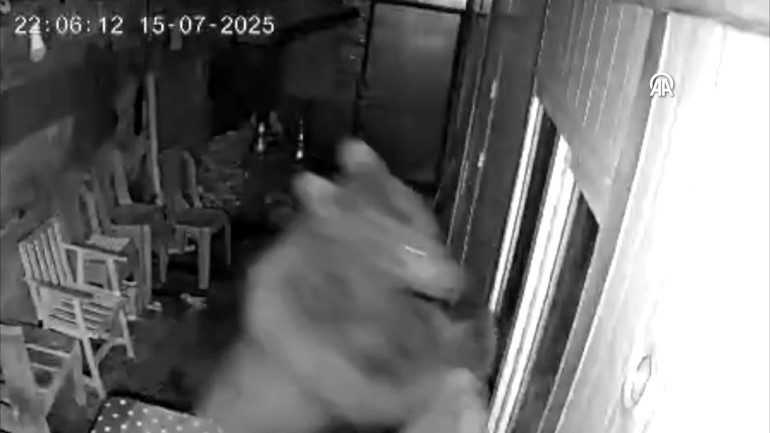 Camları kırdı, işçilerin kaldığı barınağa girdi | Şaşkına çeviren olay kamerada