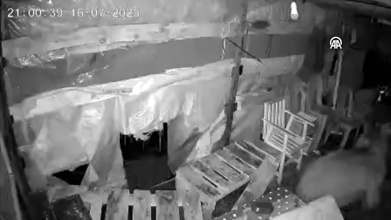 Camları kırdı, işçilerin kaldığı barınağa girdi | Şaşkına çeviren olay kamerada