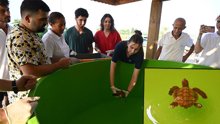 İşte böyle bulundu Deniz kaplumbağasını Sahil Güvenlik kurtardı