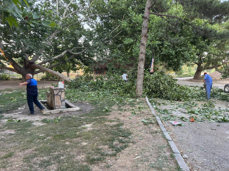 Konyada ağacın kırılan dalı, piknik yapanların üzerine düştü: 11 yaralı
