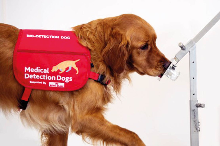 Parkinson hastalığını kokusundan tanıyabildiler