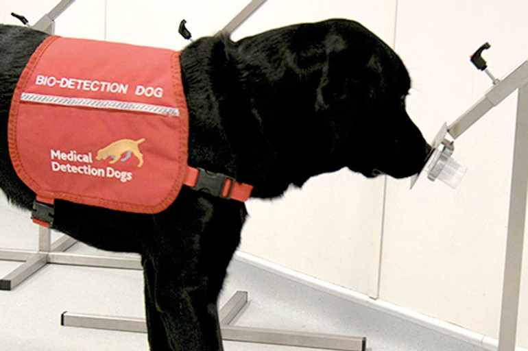 Parkinson hastalığını kokusundan tanıyabildiler