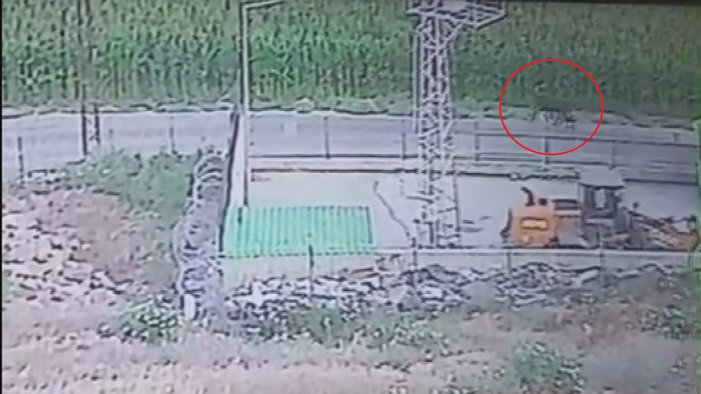 Yurt dışından getirdiği hayvanlardan üçü sevkiyatta firar etmişti Vatandaşları uyardı: Görürseniz kaçın