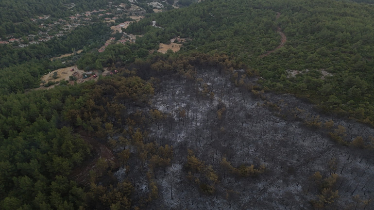 Alevlerle mücadelede son durum | Eskişehir’deki orman yangını Afyonkarahisar’a sıçradı