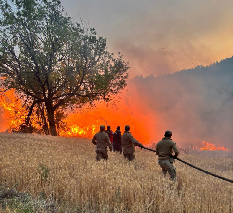 Bakan Yerlikayadan orman yangınlarına ilişkin açıklama: 23 şüpheli gözaltına alındı