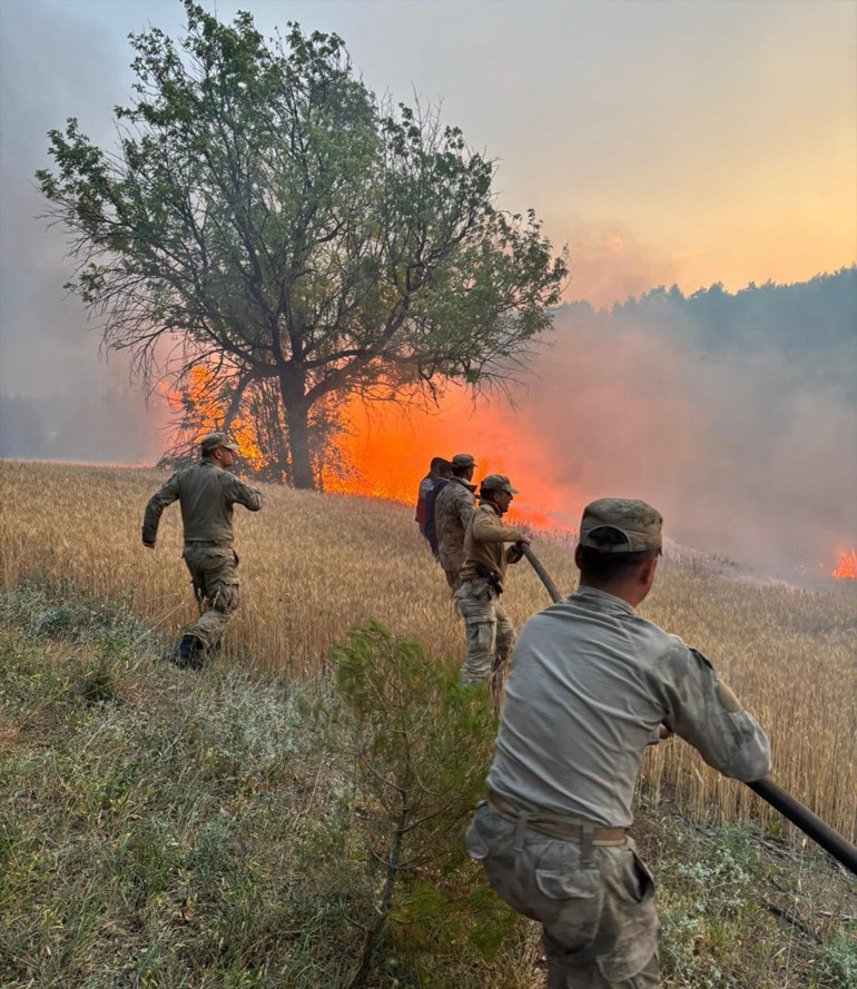 Bakan Yerlikayadan orman yangınlarına ilişkin açıklama: 23 şüpheli gözaltına alındı