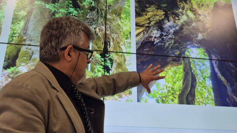 Köylüler tarafından tesadüfen bulundu 640 yaşında...