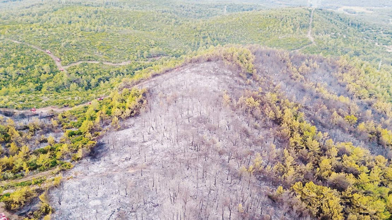 Eskişehirde yeşil vatan uğruna 10 kahraman şehit