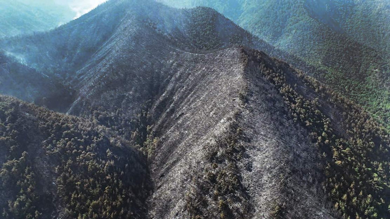 Eskişehirde yeşil vatan uğruna 10 kahraman şehit