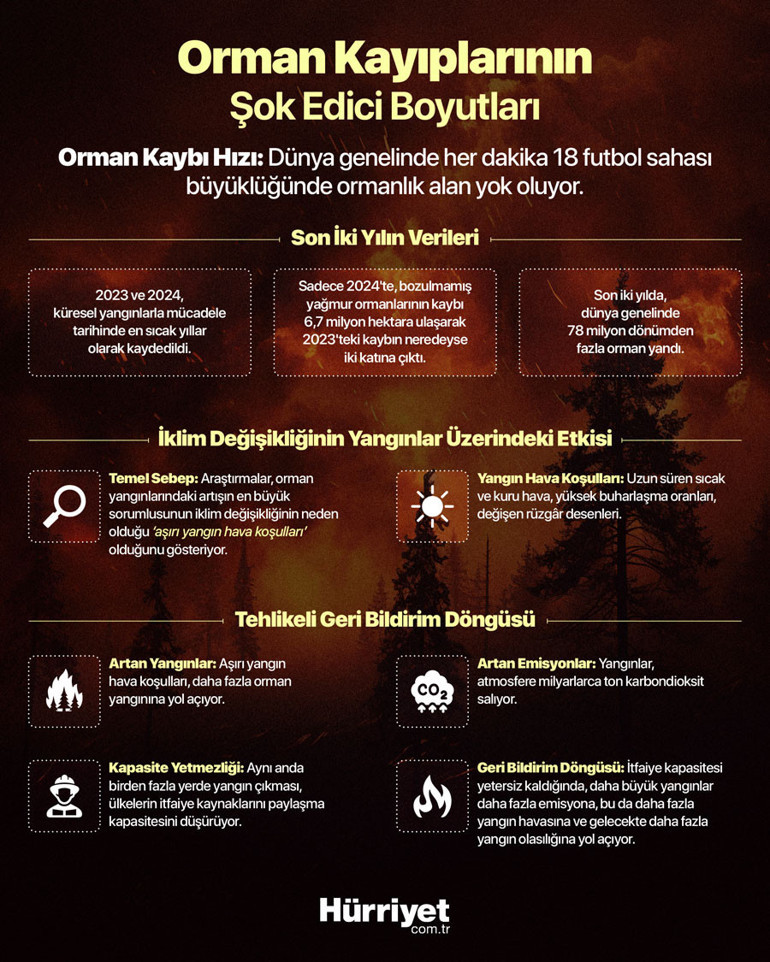 Son iki yılda 78 milyon dönümden fazla orman yandı, her dakika 18 futbol sahası büyüklüğünde ormanlık alan yok oluyor Tüm bunların sebebi ne ‘Çok daha fazla yangın olacak
