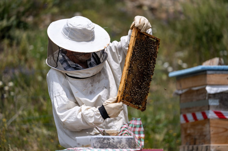 38 yıl önce yolcusundan aldığı hediye hayatını değiştirdi | Hem mesleği oldu hem de tatil yapıyor... Can çıkana kadar buralardayız