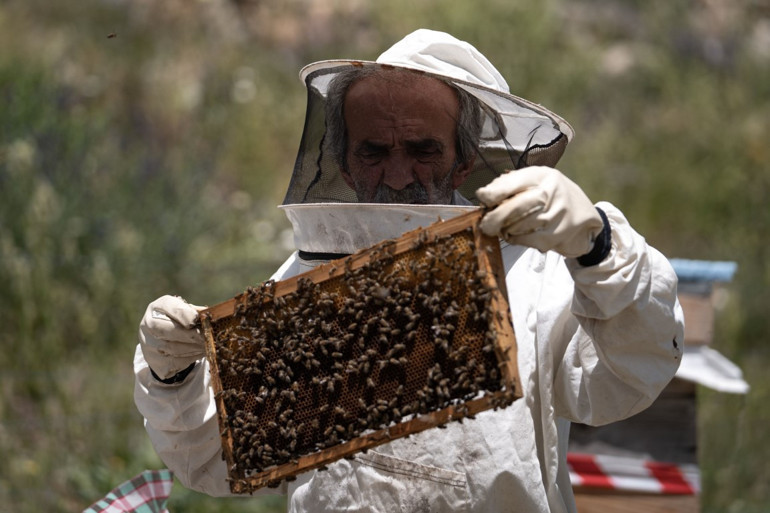 38 yıl önce yolcusundan aldığı hediye hayatını değiştirdi | Hem mesleği oldu hem de tatil yapıyor... Can çıkana kadar buralardayız