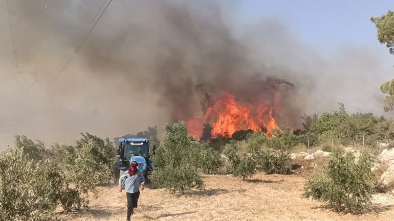 CANLI | Son dakika... Alevlerle mücadelede son durum Orman yangınlarına müdahale sürüyor... Alarm durumundayız