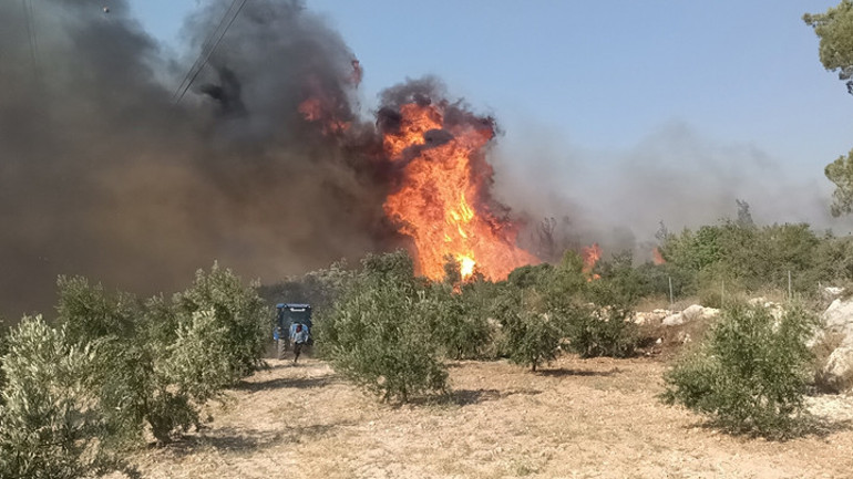 CANLI | Son dakika... Alevlerle mücadelede son durum Orman yangınlarına müdahale sürüyor... Alarm durumundayız