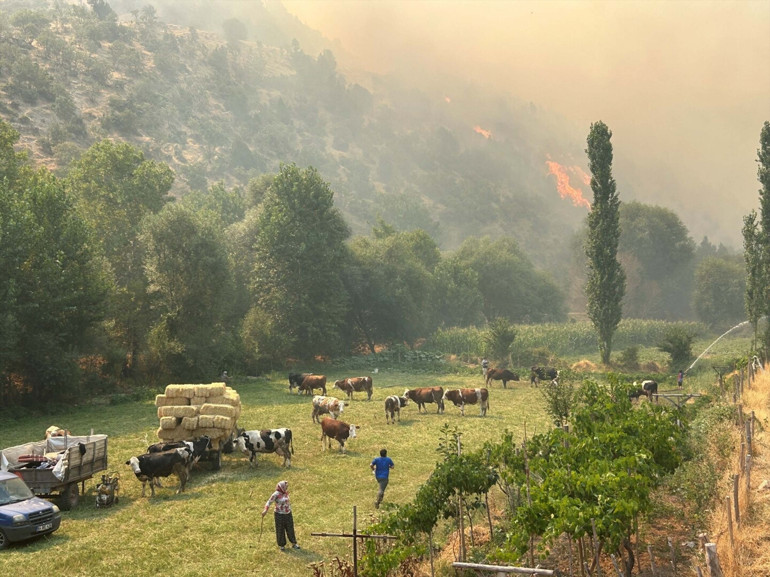 CANLI | Son dakika... Alevlerle mücadelede son durum Orman yangınlarına müdahale sürüyor... Alarm durumundayız