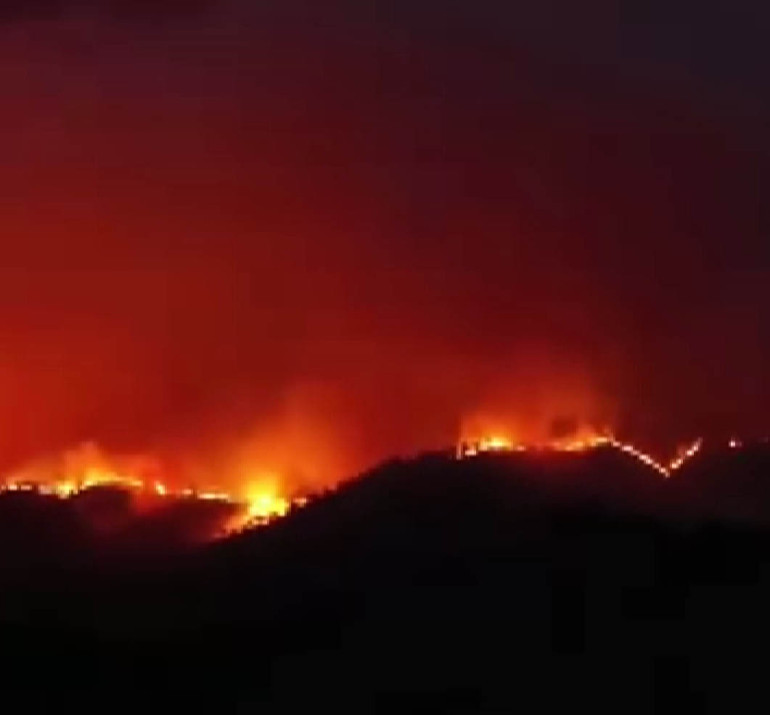 CANLI | Son dakika... Alevlerle mücadelede son durum Orman yangınlarına müdahale sürüyor... Alarm durumundayız