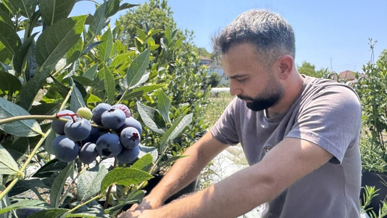 KKTCde okurken tadından etkilendi, şimdi Zonguldakta üretimini yapıyor | Litvanyadan özel toprak getirtti
