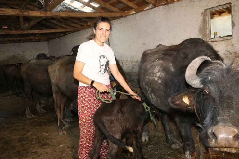 İstanbuldaki yaşamlarını bırakıp köylerinde bu işe başladılar: 14 taneyle adım atıp sayıyı 41e çıkardılar