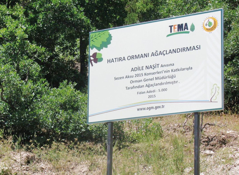 Kaybettiklerini böyle yaşatıyor Sezen