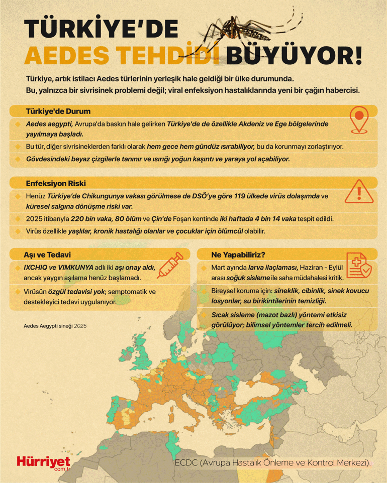 Chikungunya ateşi yayılıyor Tüm Ege ve Karadeniz sahili kırmızı alanda Küresel bir salgına dönüşür mü