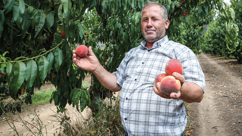 7 ayda 4 bin 426 yangın: 500 bin dönüm böyle kül oldu