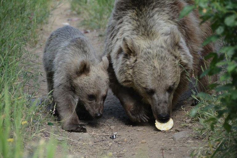 Türkiye’nin zirvesindeki cennet