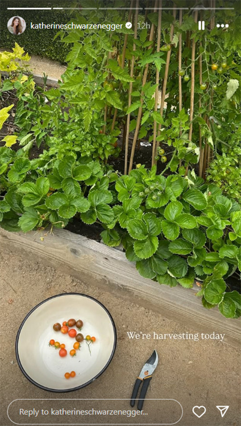 İyi bak evladım... Büyüyünce senin dostun olacak