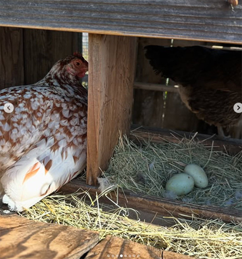 İyi bak evladım... Büyüyünce senin dostun olacak