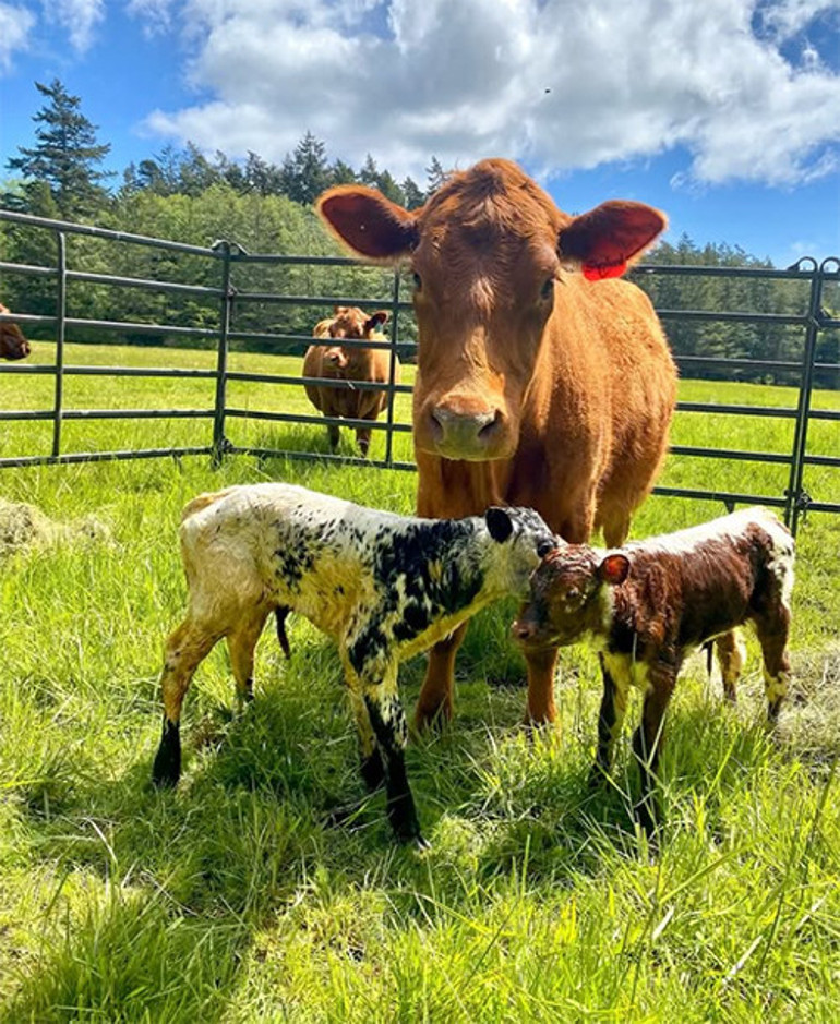 İyi bak evladım... Büyüyünce senin dostun olacak