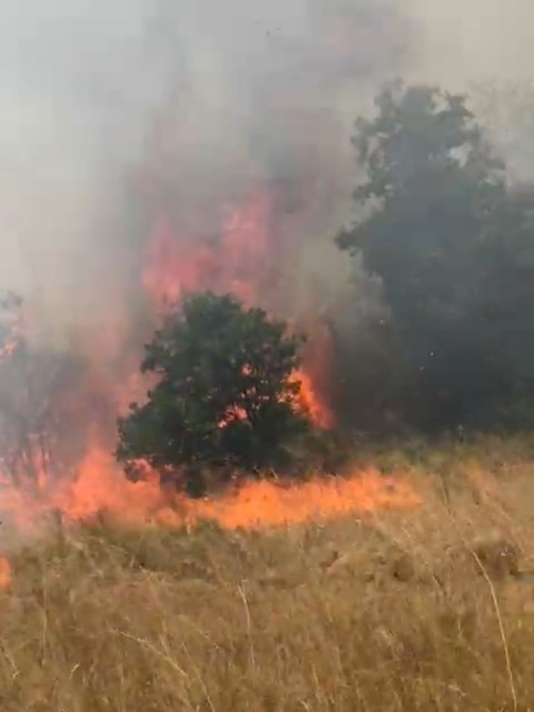 Son dakika... Bursa ve Tekirdağdaki yangınlar kontrol altına alındı