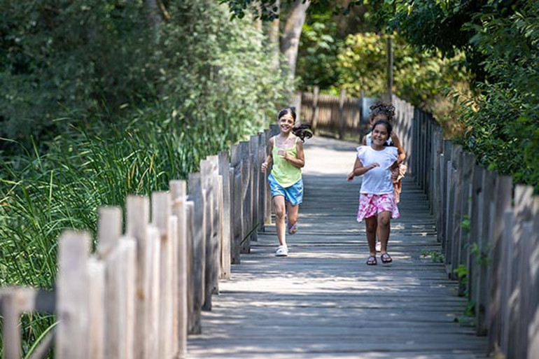 Tek parça olmasıyla dikkat çekiyor Burası dünyada ikinci Türkiyede tek | Longoz tarif edilemez, yaşanır
