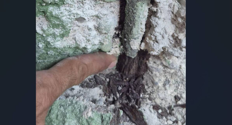 Antalya Müzesi yeniden doğuyor