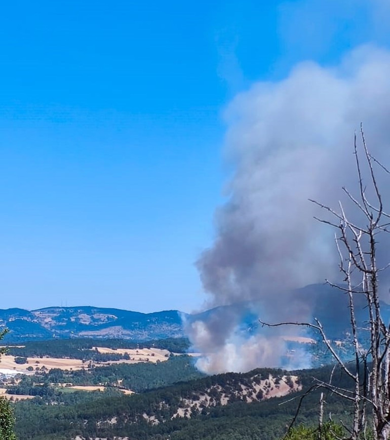 Çanakkale, Bolu ve Manisada orman yangını... Çanakkale Havalimanı uçuşa kapatıldı: Villalar küle döndü Manisa’da bir gözaltı